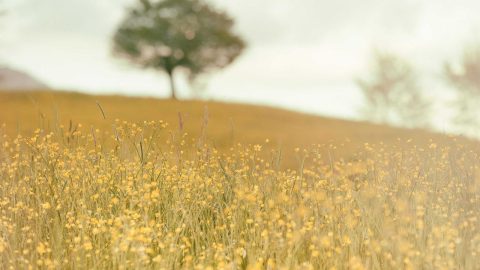 Івано-Франківськ: мережа велодоріжок зростає